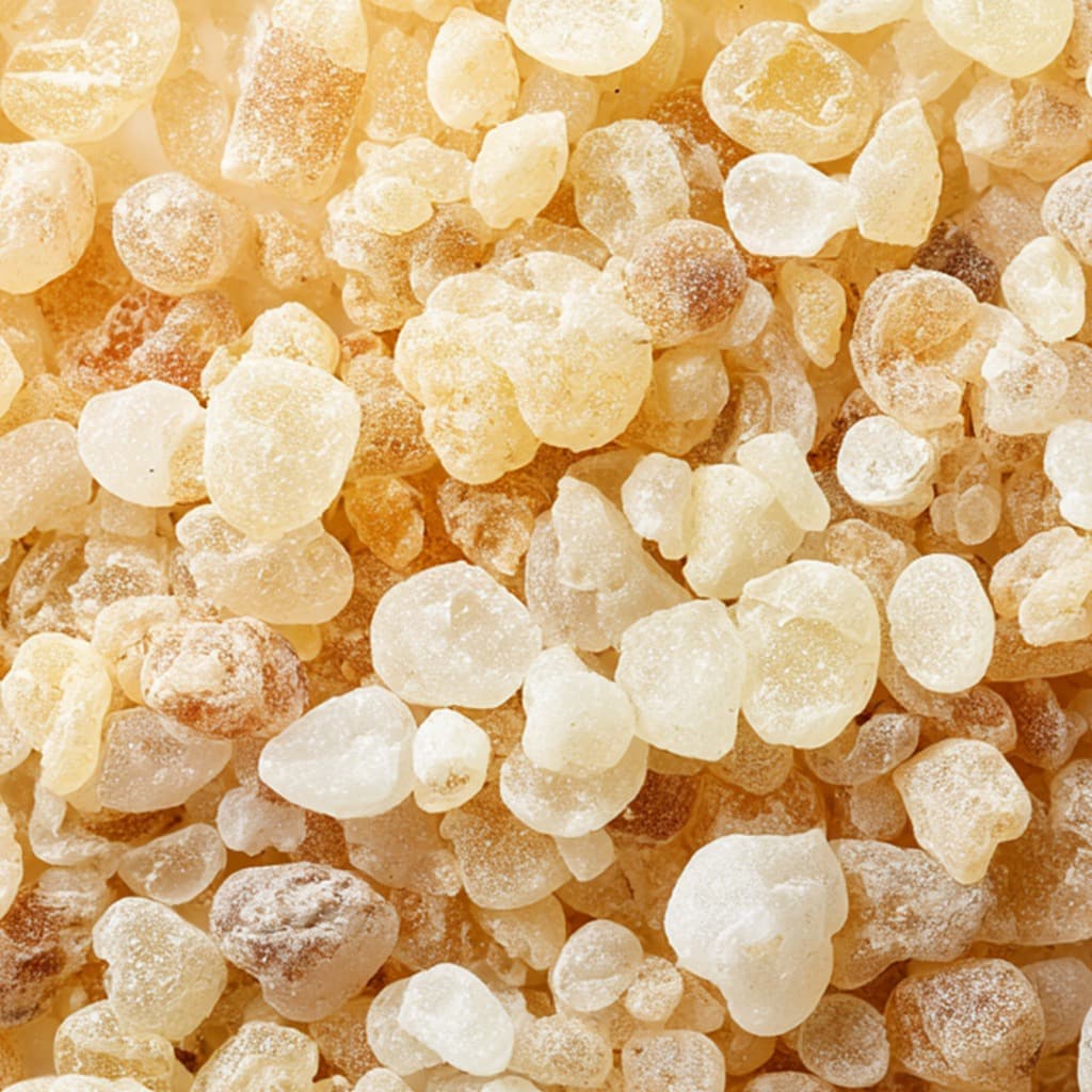 Mastic | La Vie En Rose