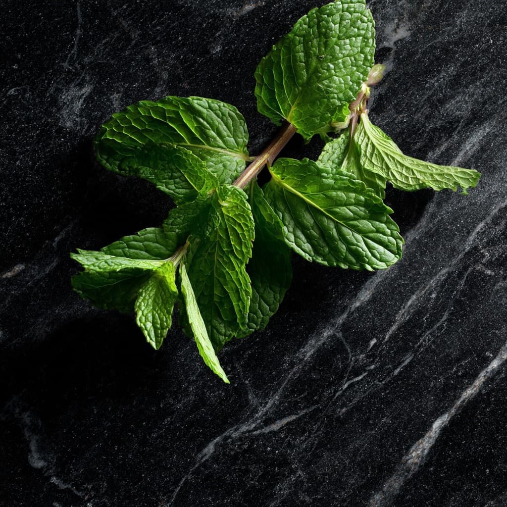 Menthol Ester with Lactic Acid | La Vie en Rose